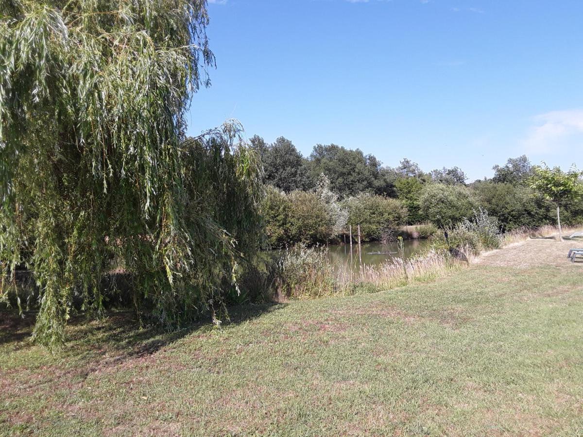 La Belviniere Chambres Et Table D'Hotes Tour-en-Sologne Kültér fotó