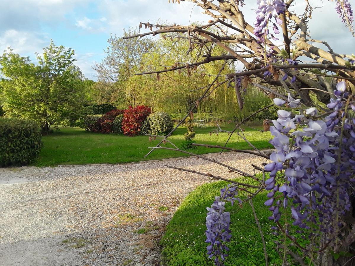 La Belviniere Chambres Et Table D'Hotes Tour-en-Sologne Kültér fotó