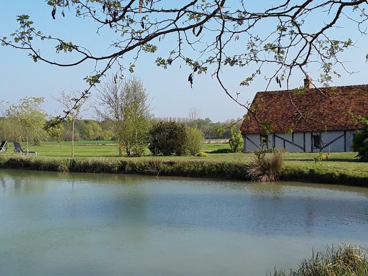 La Belviniere Chambres Et Table D'Hotes Tour-en-Sologne Kültér fotó