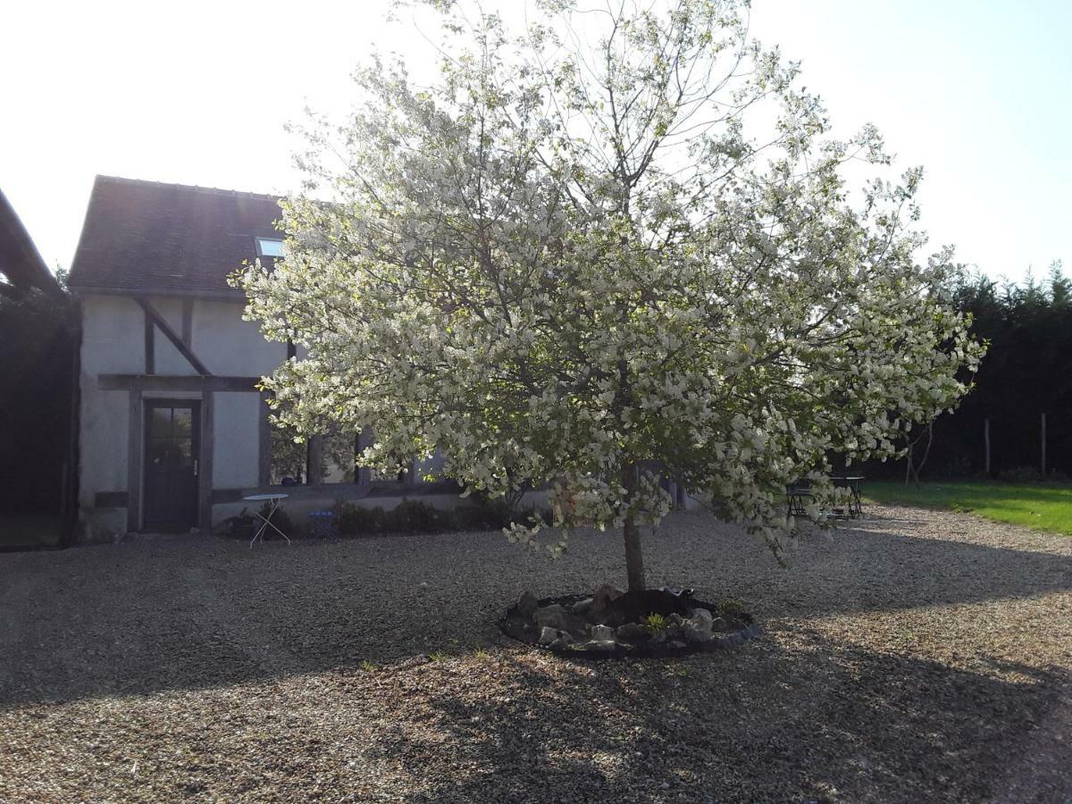 La Belviniere Chambres Et Table D'Hotes Tour-en-Sologne Kültér fotó