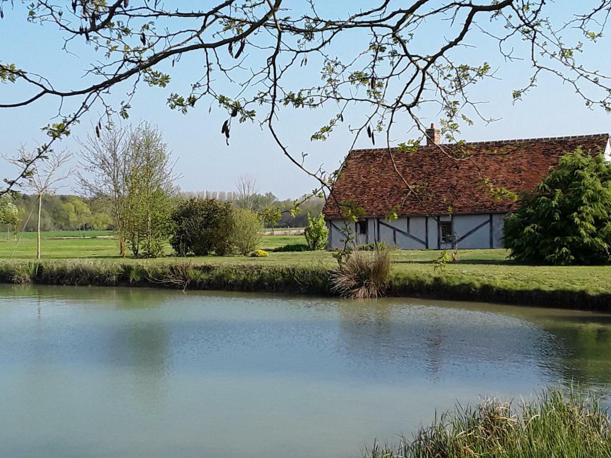 La Belviniere Chambres Et Table D'Hotes Tour-en-Sologne Kültér fotó